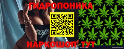 сатива Ливны